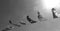 img/photo_ciel/photo13.jpg
