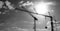 img/photo_ciel/photo5.jpg