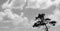 img/photo_ciel/photo8.jpg